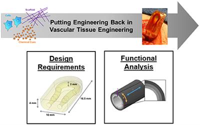 Editorial: Putting engineering back in vascular tissue engineering to advance basic science and clinical applications